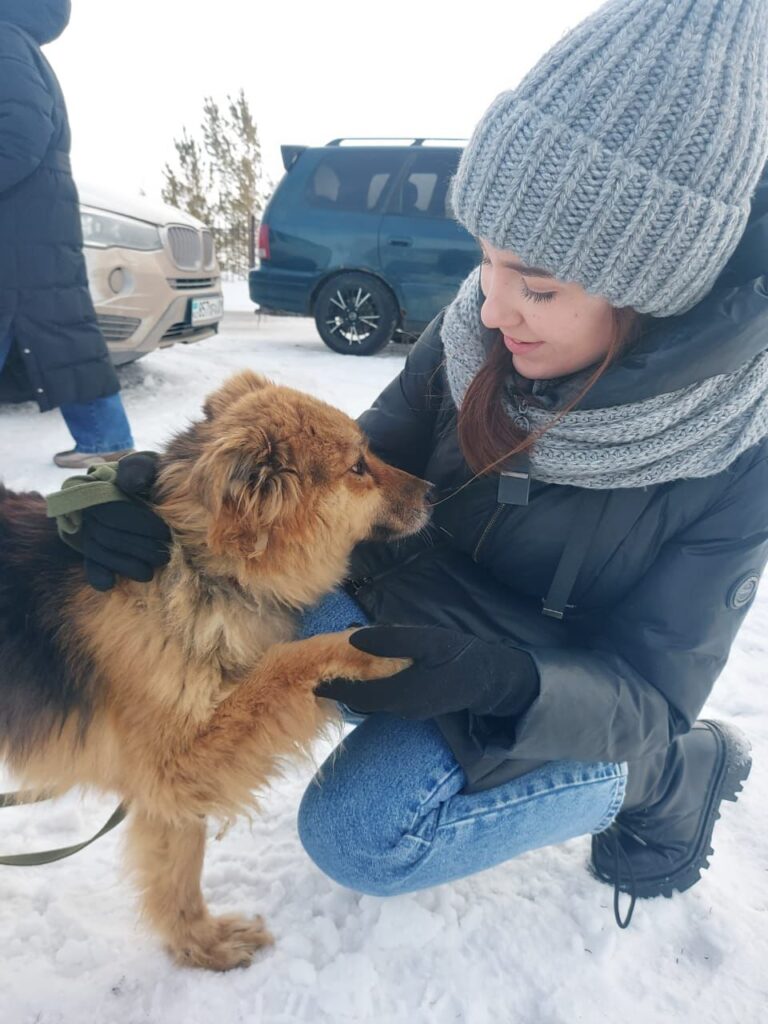 Посещение приюта  для животных