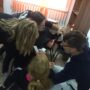 Тренинги для первокурсников-2.jpg