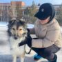 Посещение приюта для животных-2.jpeg